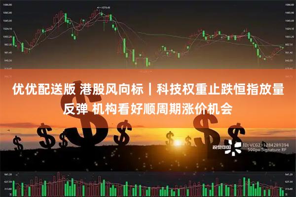 优优配送版 港股风向标｜科技权重止跌恒指放量反弹 机构看好顺周期涨价机会