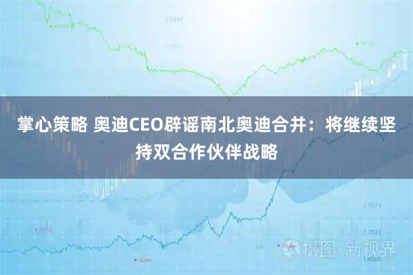 掌心策略 奥迪CEO辟谣南北奥迪合并:将继续坚持双合作伙伴战略