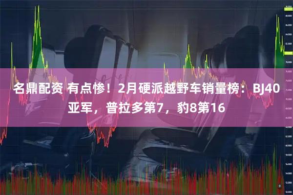 名鼎配资 有点惨！2月硬派越野车销量榜：BJ40亚军，普拉多第7，豹8第16