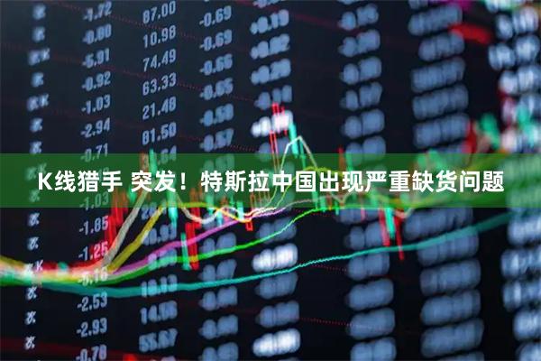 K线猎手 突发！特斯拉中国出现严重缺货问题