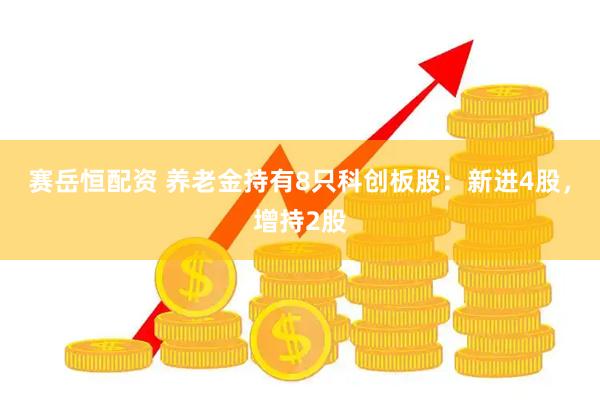 赛岳恒配资 养老金持有8只科创板股：新进4股，增持2股
