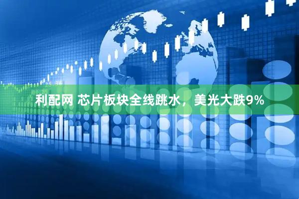 利配网 芯片板块全线跳水，美光大跌9%