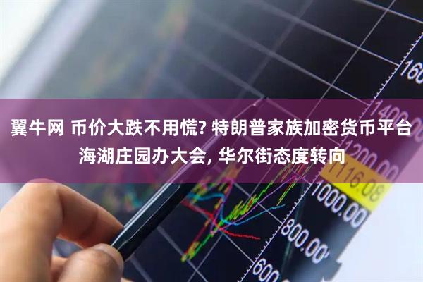 翼牛网 币价大跌不用慌? 特朗普家族加密货币平台海湖庄园办大会, 华尔街态度转向
