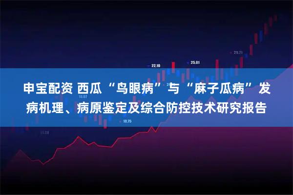 申宝配资 西瓜 “鸟眼病” 与 “麻子瓜病” 发病机理、病原鉴定及综合防控技术研究报告
