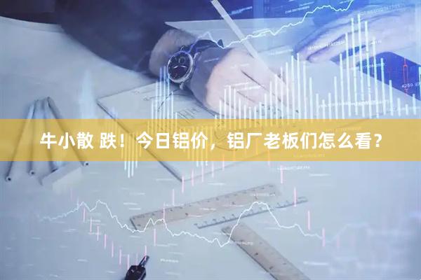 牛小散 跌！今日铝价，铝厂老板们怎么看？
