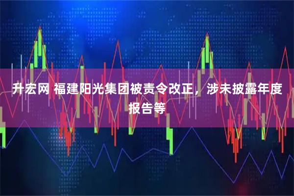 升宏网 福建阳光集团被责令改正，涉未披露年度报告等