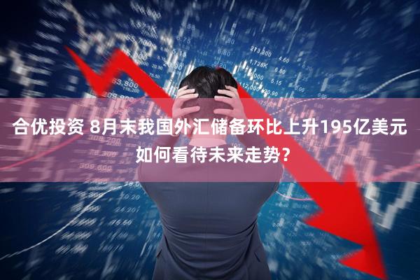 合优投资 8月末我国外汇储备环比上升195亿美元 如何看待未来走势？