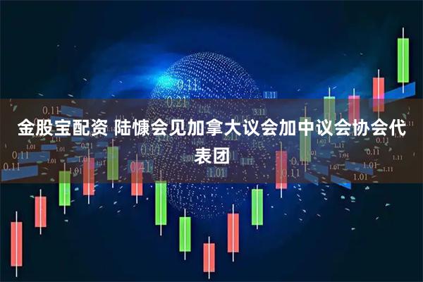 金股宝配资 陆慷会见加拿大议会加中议会协会代表团